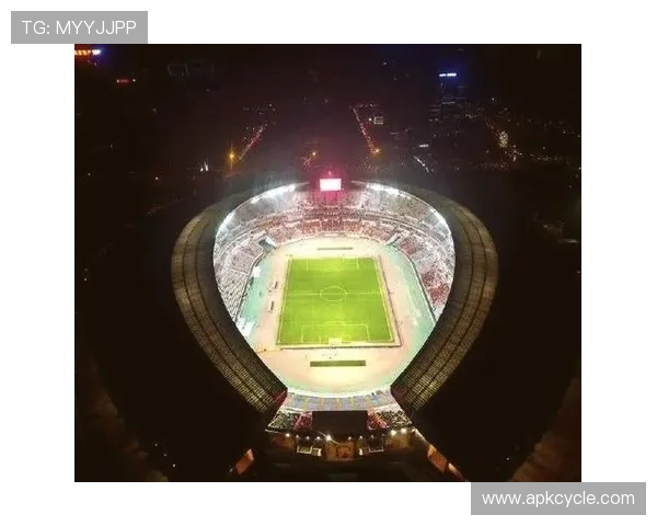 山东泰山济南主场