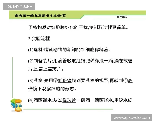 垂直起跳规则的基本要点与常见误区解析